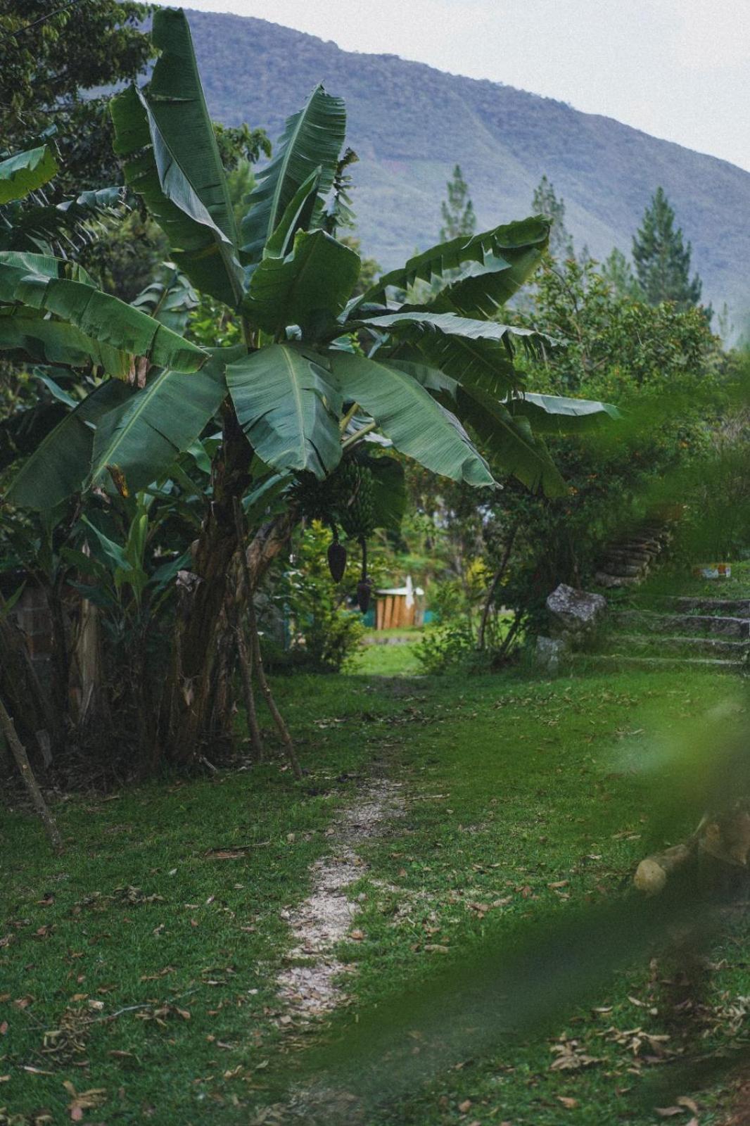 סנטה תרזה Lucmabamba Lodge מראה חיצוני תמונה